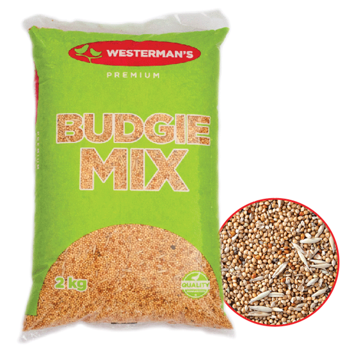 Budgie Mix - Valemount - Mischief Pet Products