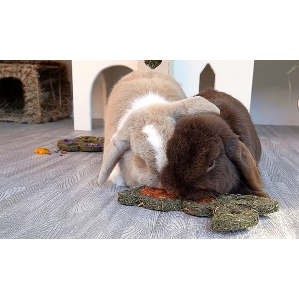 Carrot & Forage Bunny - Mischief Pet Products