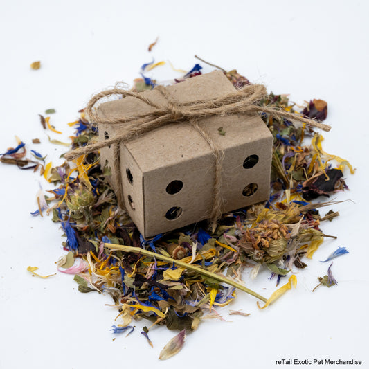 Tiny Foraging Box - ReTail Exotics - Mischief Pet Products