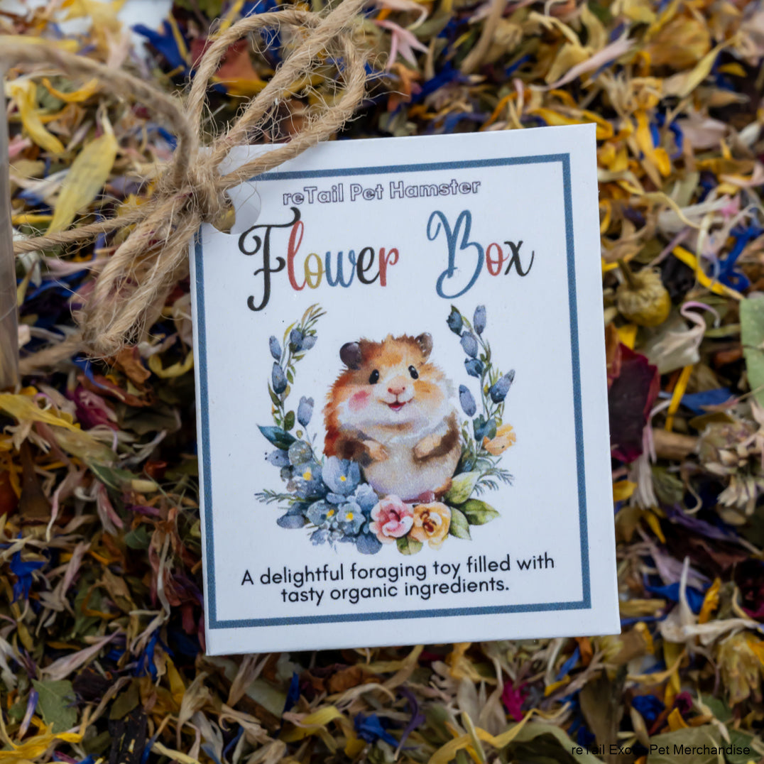 Tiny Foraging Box - ReTail Exotics - Mischief Pet Products