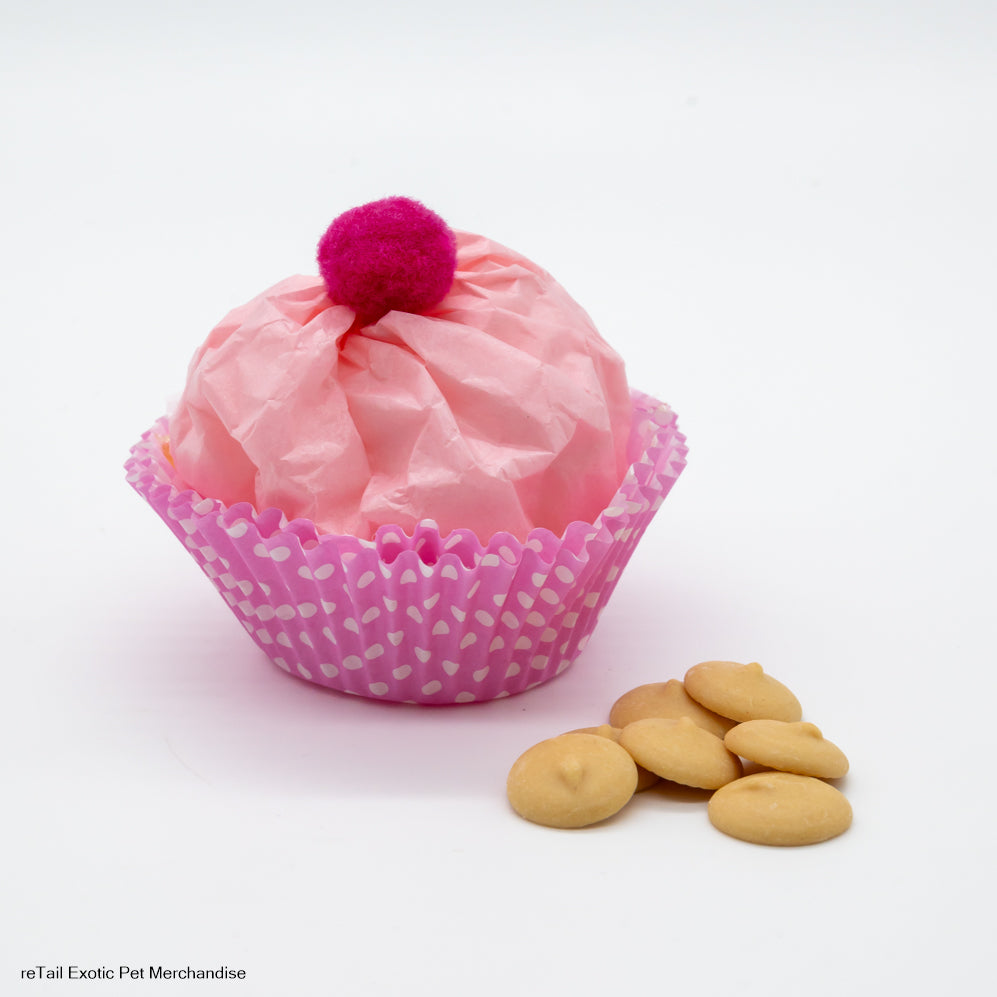 My Pet Rat Cupcake - Mischief Pet Products
