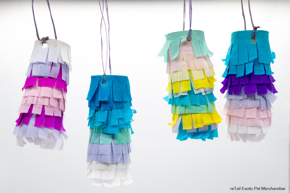 Bird Pinata - ReTail Exotics - Mischief Pet Products