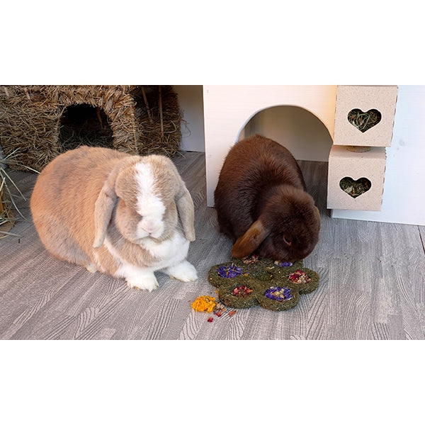 Flower & Forage Blossom - Mischief Pet Products