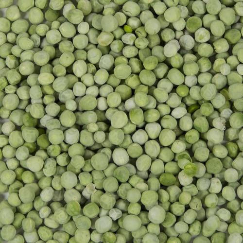 Green Peas - Valemount - Mischief Pet Products