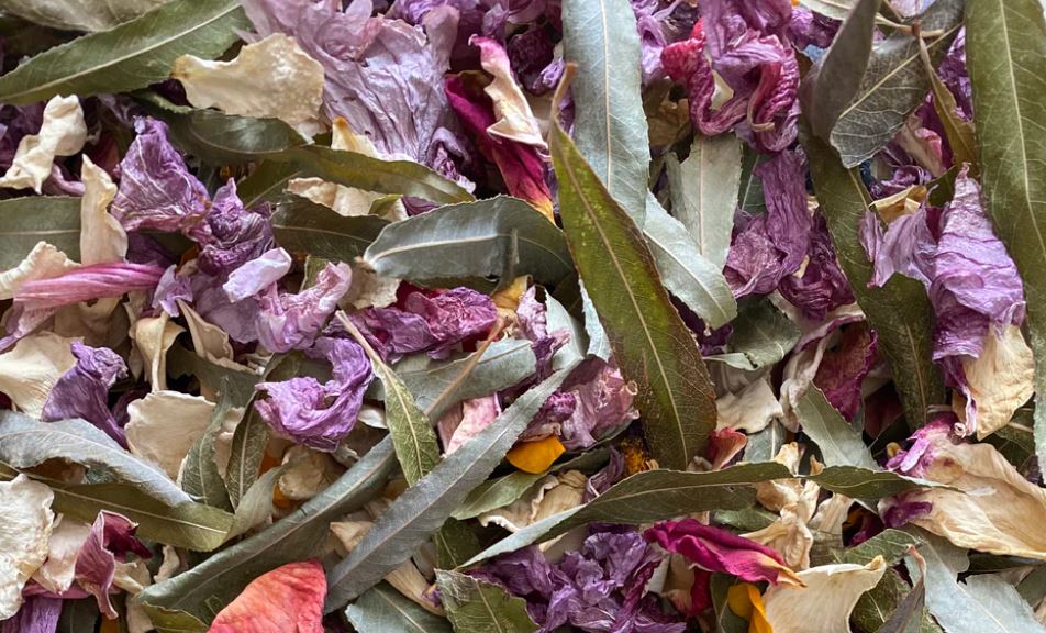 Guinea Pig Forage Mix - Mischief Pet Products
