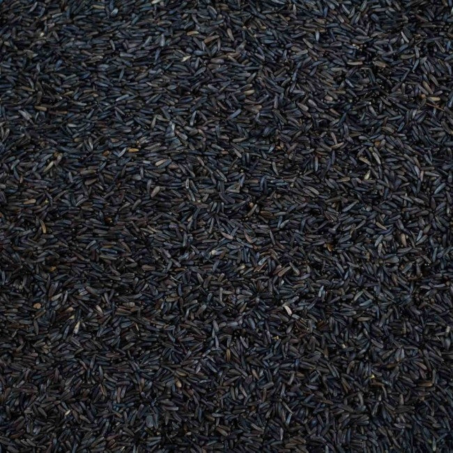 Niger - Valemount - Mischief Pet Products