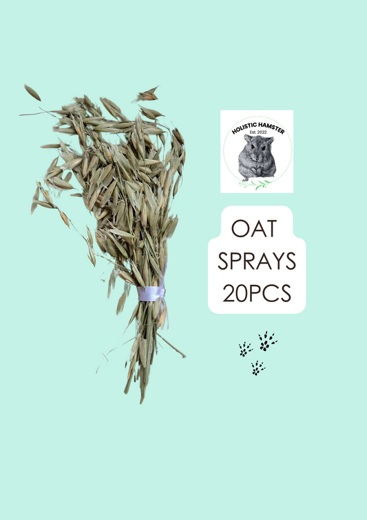 Oat Spray 20pcs - Mischief Pet Products