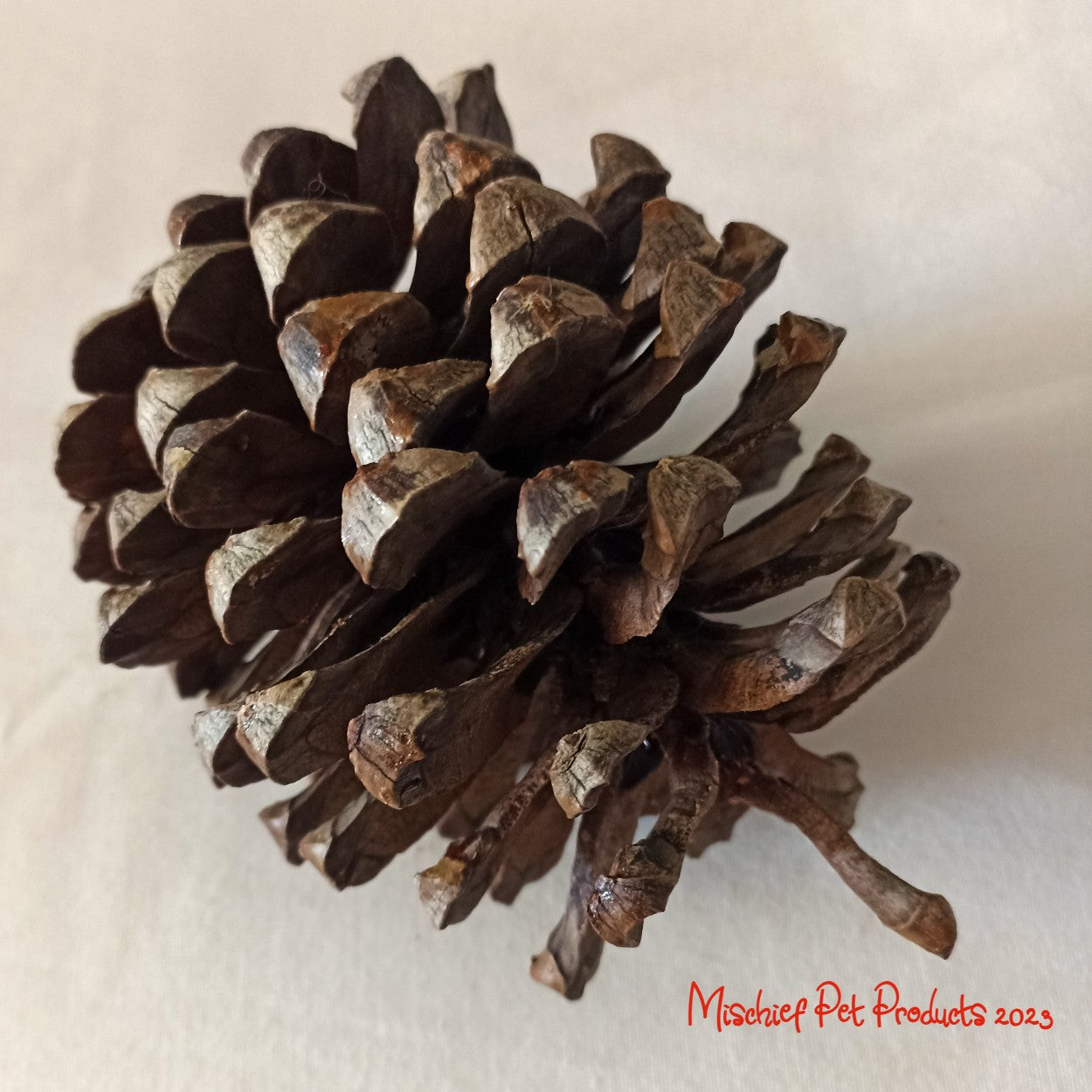 Pinecone Forager - Mischief Pet Products
