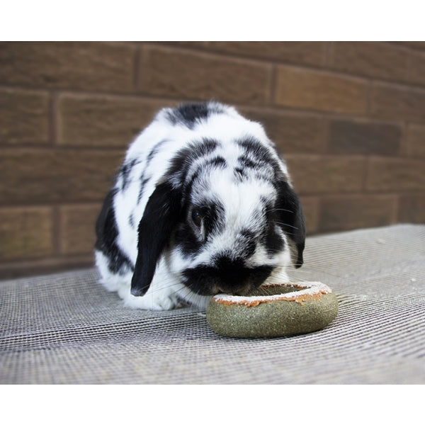 Treat n Gnaw Donuts - Mischief Pet Products