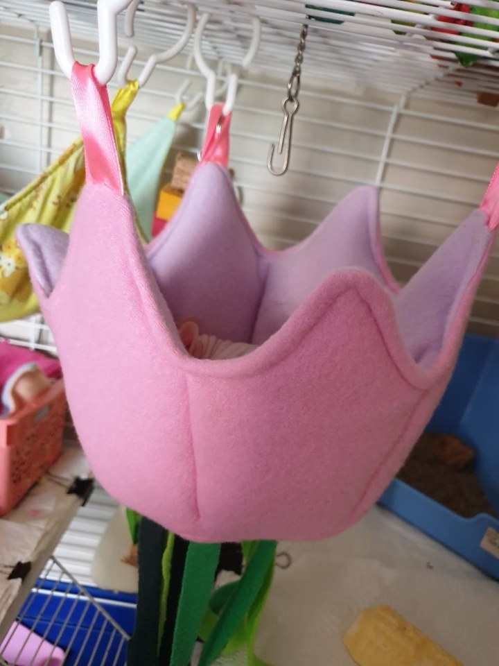 The Flower - Mischief Pet Products