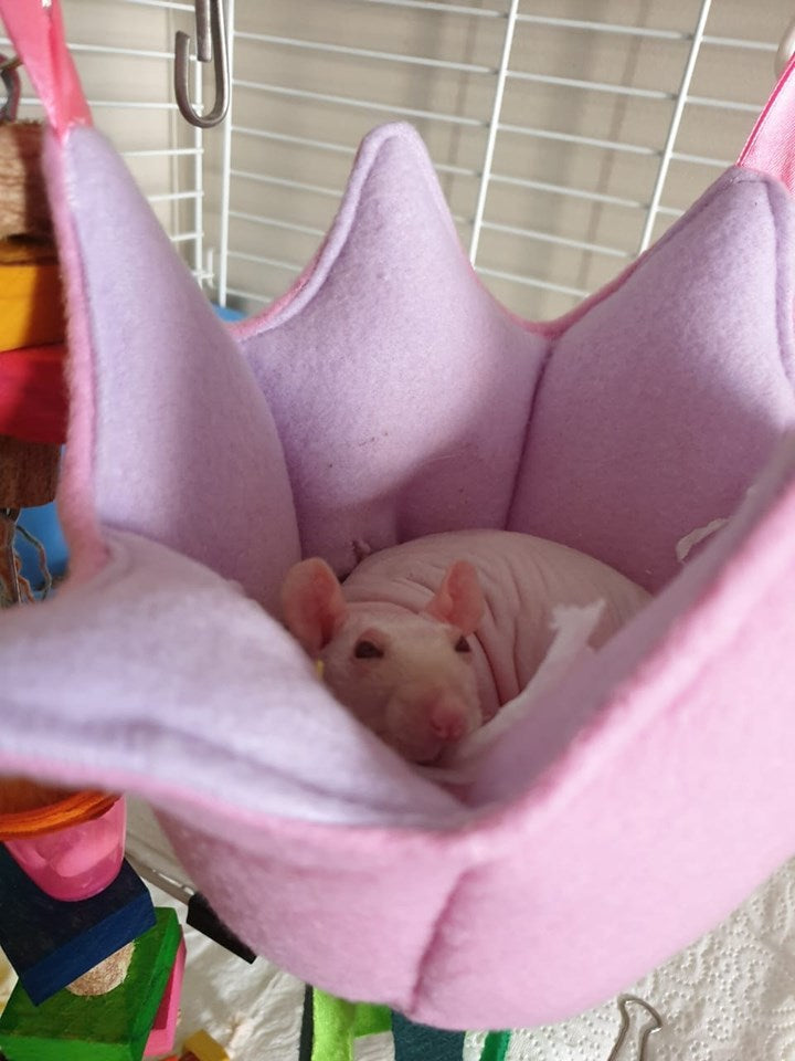 The Flower - Mischief Pet Products