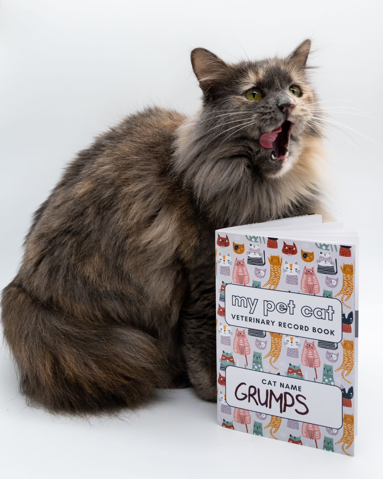 My Pet Cat Veterinary Record Book - Mischief Pet Products