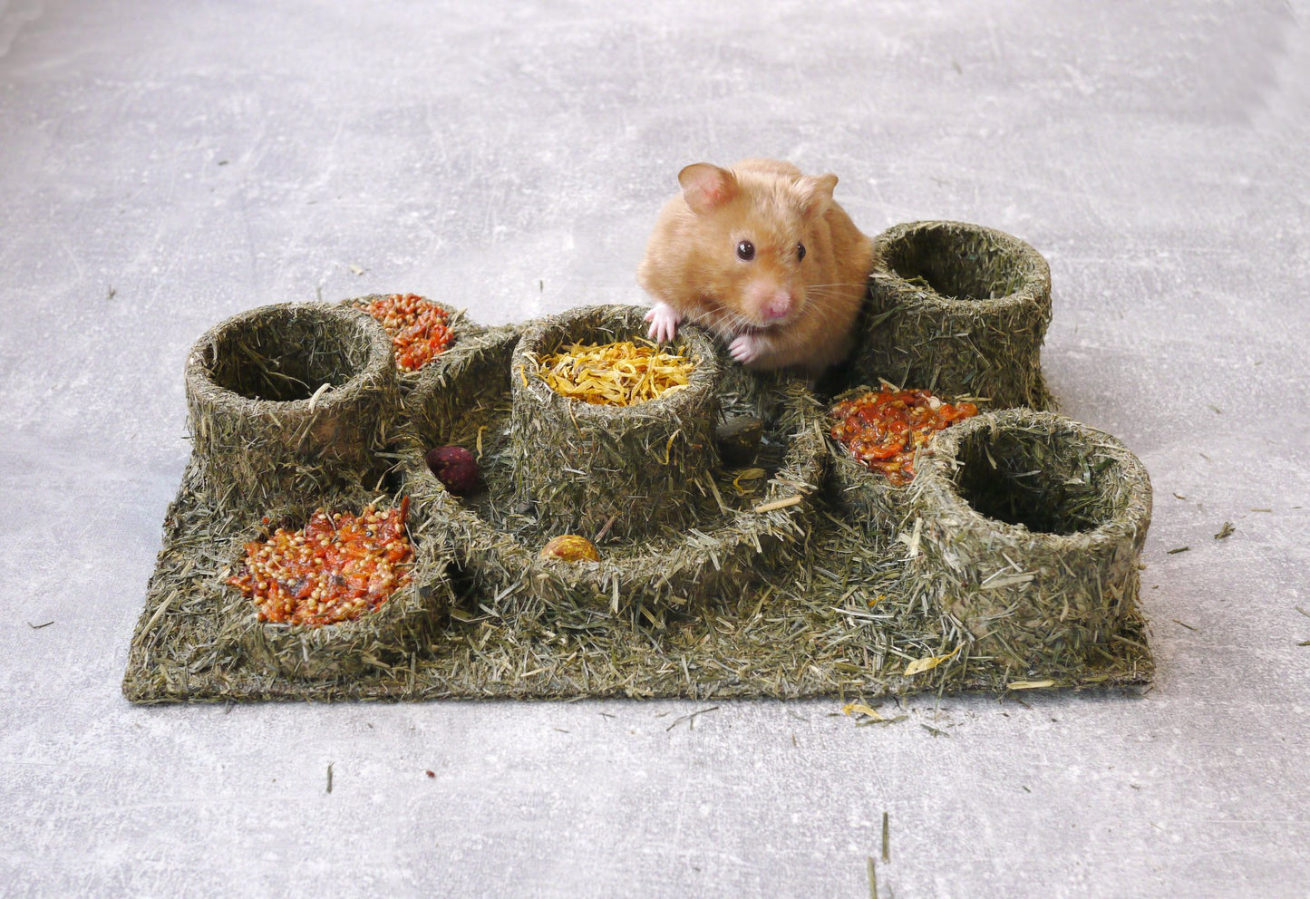 Naturals Hide 'N' Treat Maze - Mischief Pet Products
