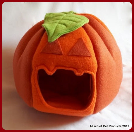 Limited Edition Jack-O'-Lantern - Mischief Pet Products
