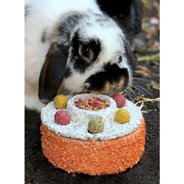 Rosewood Naturals Celebration Cake - Mischief Pet Products