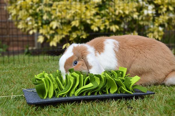 Rosewood Snuffle Forager Mat for Small Animals - Mischief Pet Products