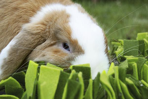 Rosewood Snuffle Forager Mat for Small Animals - Mischief Pet Products