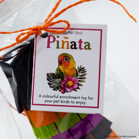 Bird Pinata - ReTail Exotics - Mischief Pet Products