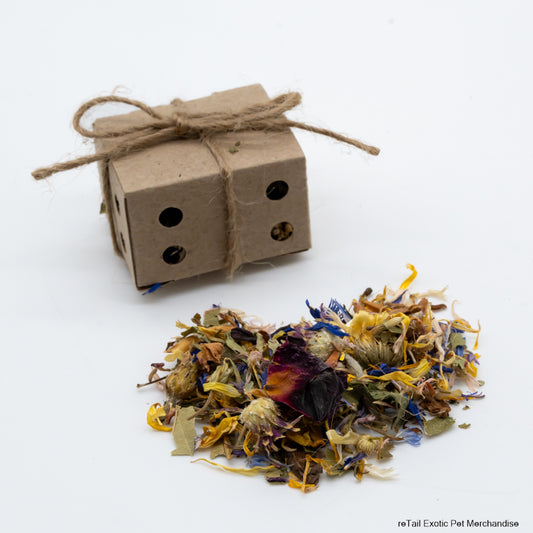 Tiny Foraging Box - ReTail Exotics - Mischief Pet Products