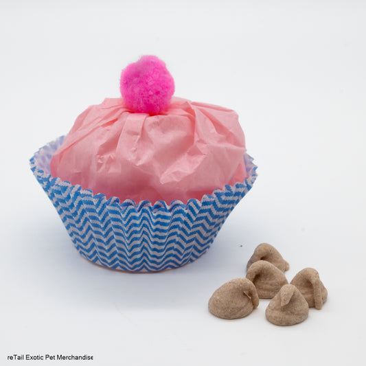 My Pet Rat Cupcake - Mischief Pet Products