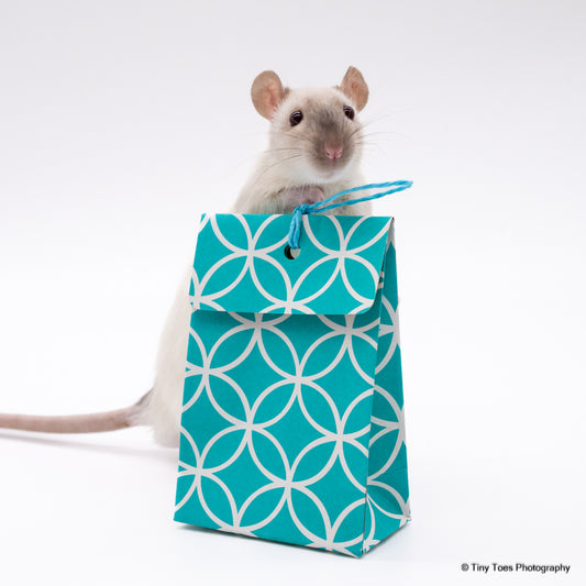 My Pet Rat Lucky Packet - Mischief Pet Products