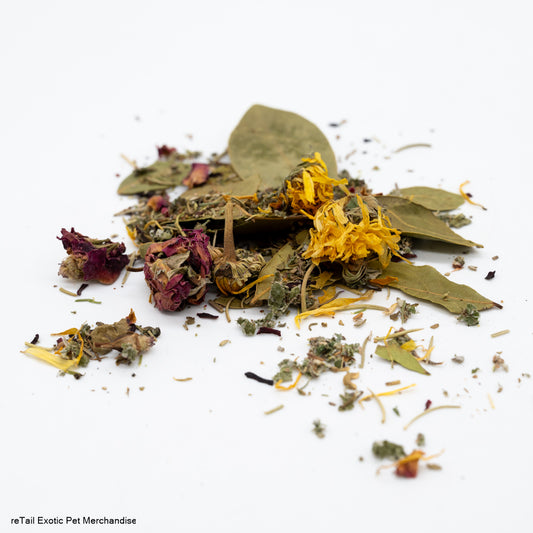 Bird Lucky Packet - ReTail Exotics - Mischief Pet Products