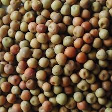 Peas (Dunn) - Valemount - Mischief Pet Products