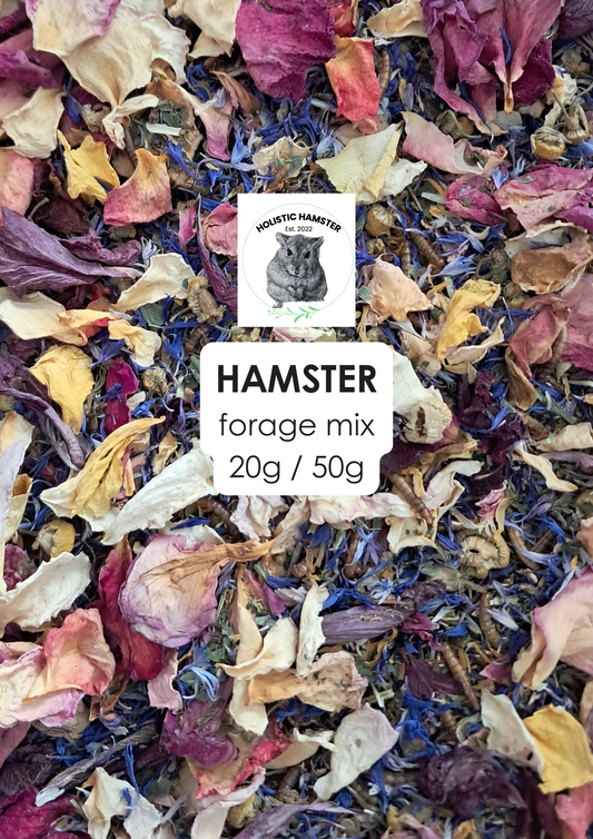 Holistic Hamster Forage Mix - Mischief Pet Products