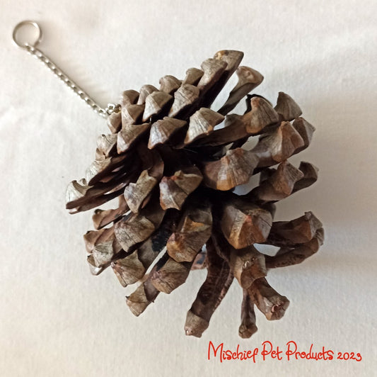 Hanging Pinecone Forager - Mischief Pet Products