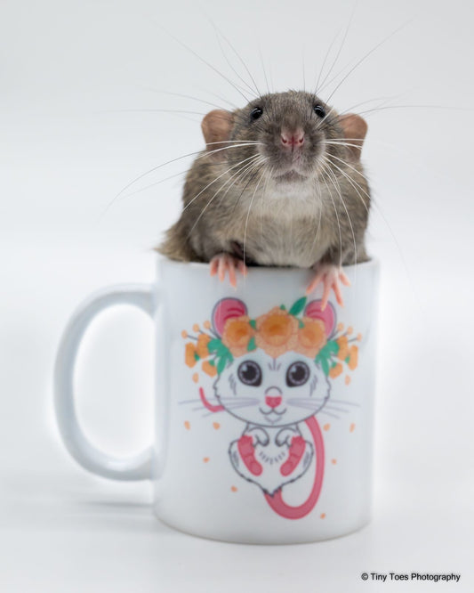 Daffodil Mug - 340ml - Mischief Pet Products