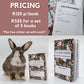 My Pet Rabbit Veterinary Record Book