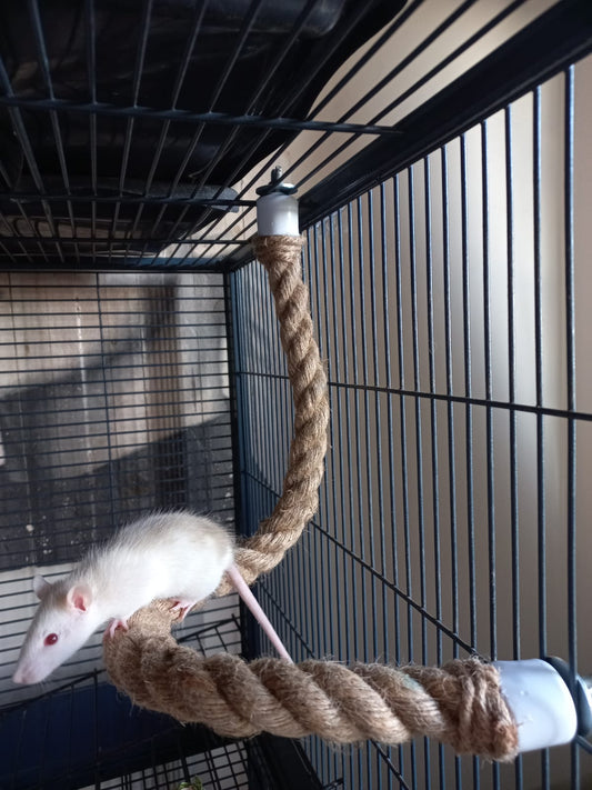 Naturalistic Bendy Rope - 60cm - Mischief Pet Products