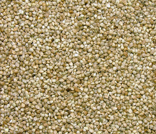 Japanese Millet - Valemount