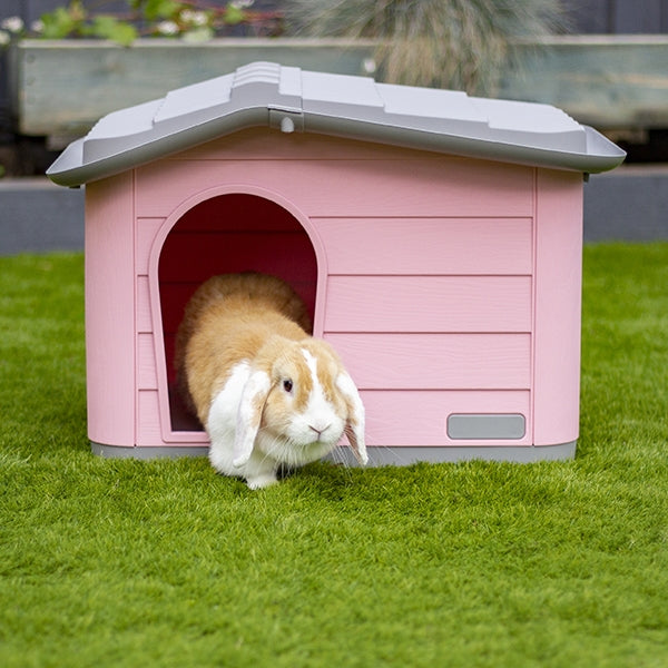 Knock-Down Pet House