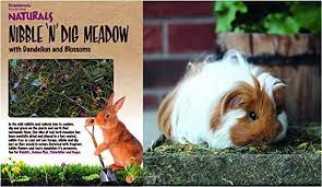 Naturals Nibble n Dig Meadow - Mischief Pet Products