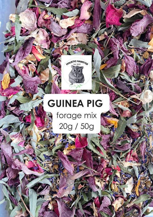 Guinea Pig Forage Mix - Mischief Pet Products