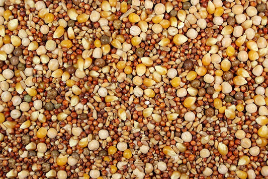 Pigeon Roller Fancy Popcorn Mix