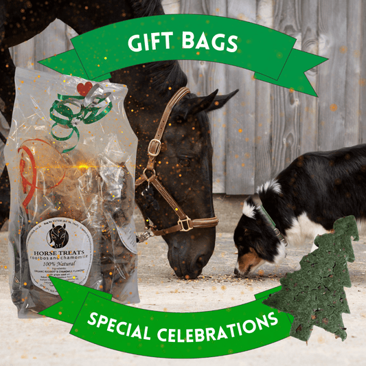 Variety Celebration Gift Bag