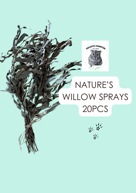 Willow Spray 20pc