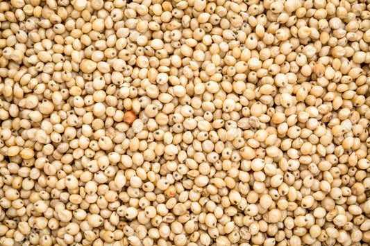 White Sorghum - Valemount