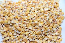 Whole Yellow Maize - Valemount