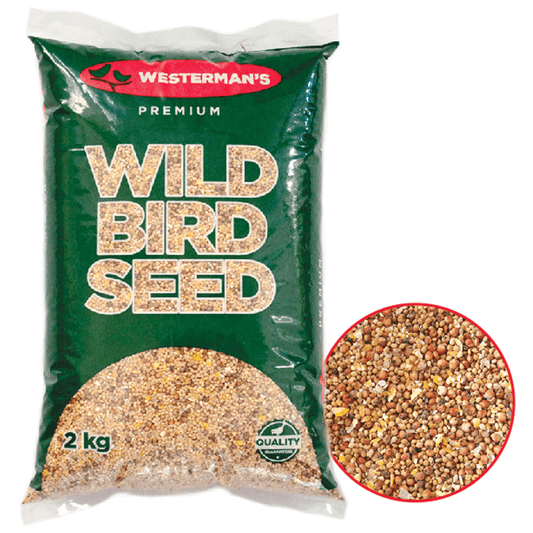 Wild Bird Seed - Mischief Pet Products
