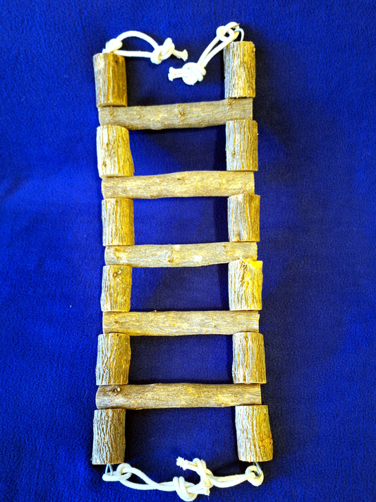 Large Sekelbos Ladder