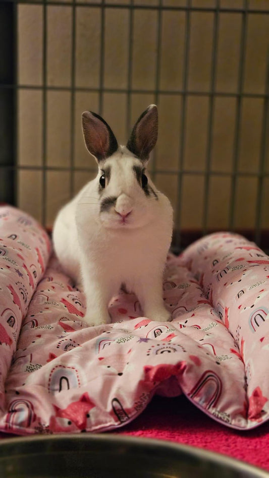 Snuggle Bunny Bed