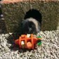 Rosewood 3D Carrot - Mischief Pet Products