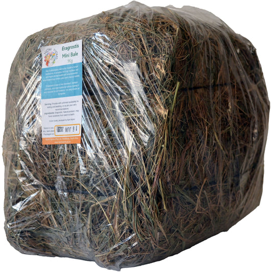 Eragrostis Mini Bale 1kg - Mischief Pet Products