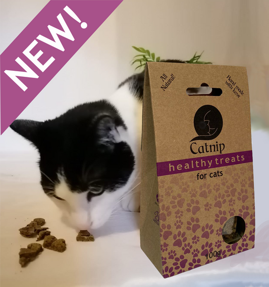 Rooibos Catnip Cat Treats 100g - Mischief Pet Products