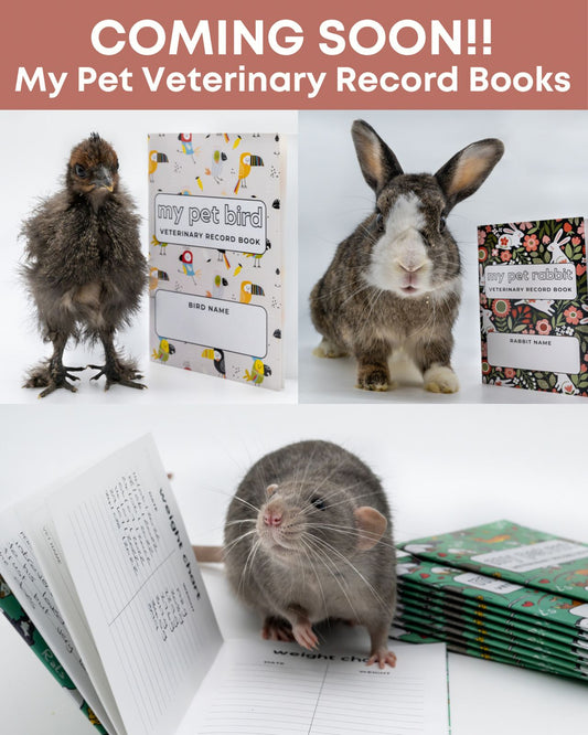 My Pet Rat Veterinary Record Book - Mischief Pet Products