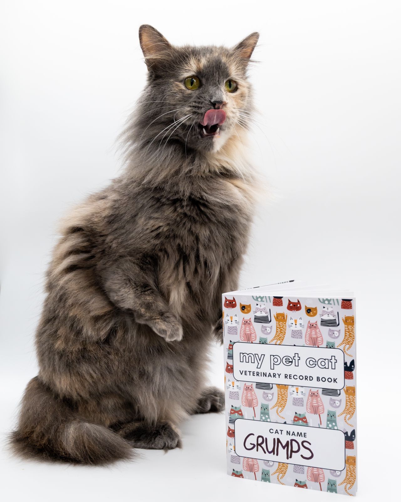 My Pet Cat Veterinary Record Book - Mischief Pet Products