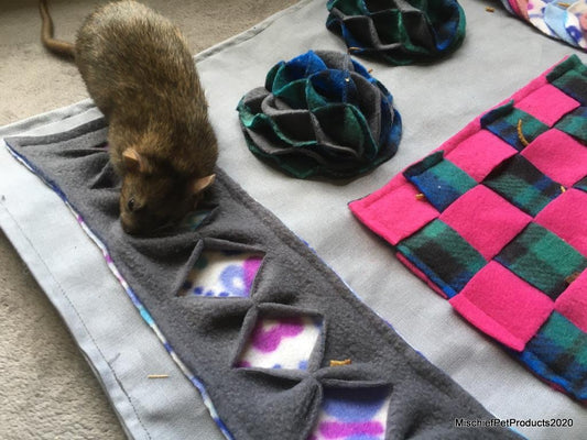 Forager Mat Original - Mischief Pet Products